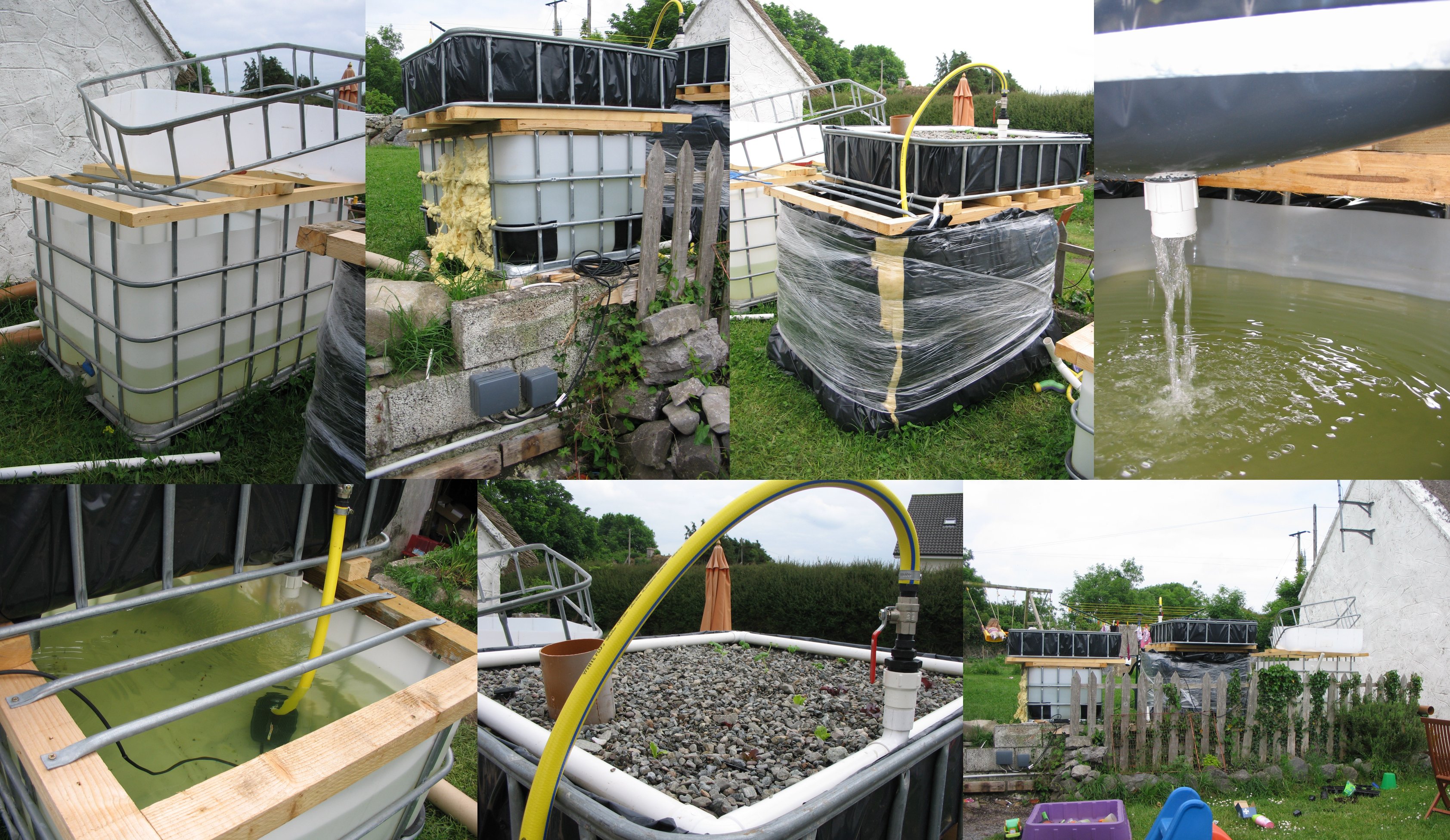 ... our new side project – our Headford backyard aquaponics system